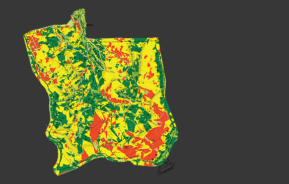 Site Analysis